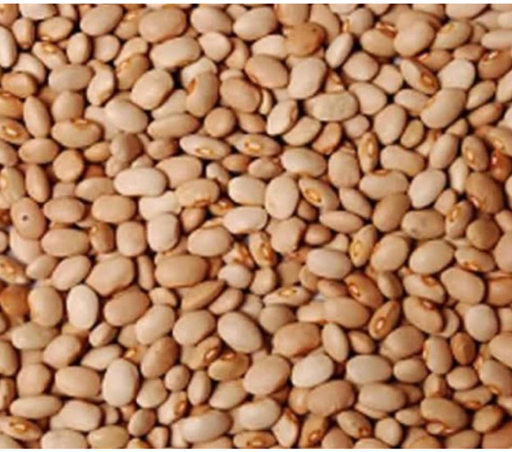 Nigerian honey Beans- 8 Kg