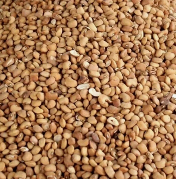 Nigerian honey Beans- 8 Kg