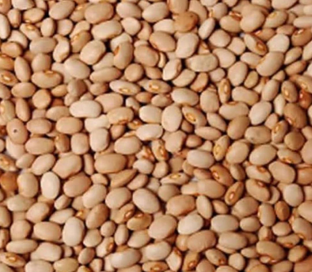 Nigerian honey Beans- 8 Kg