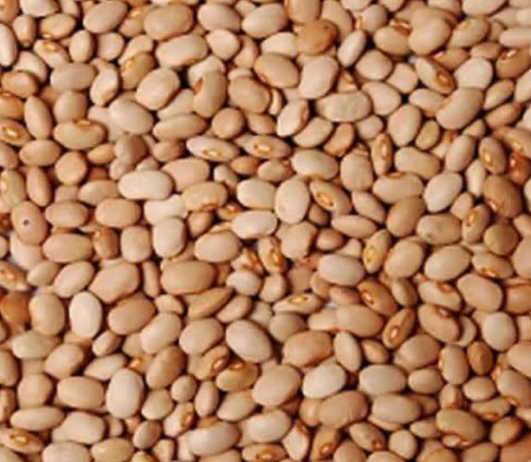 Nigerian honey Beans- 8 Kg
